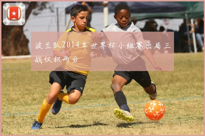 波兰队2014年世界杯小组赛出局三战仅积两分