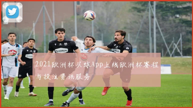 2021欧洲杯买球App上线欧洲杯赛程与投注资讯服务