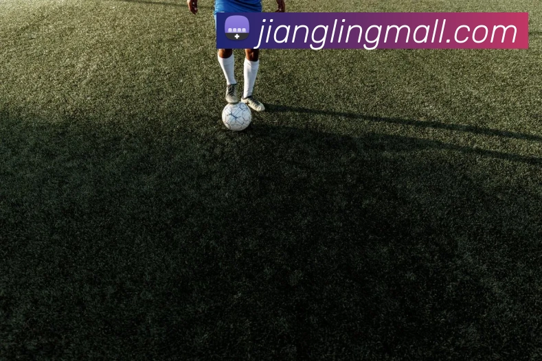 hth官方网APP 封面图